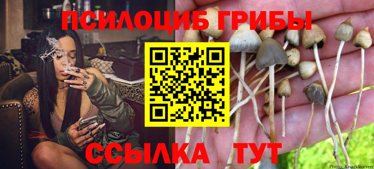 Псилоцибиновые грибы Psilocybine cubensis  Псилоцибиновые грибы MAGIC MUSHROOMS  Касимов  Вход с VPN 